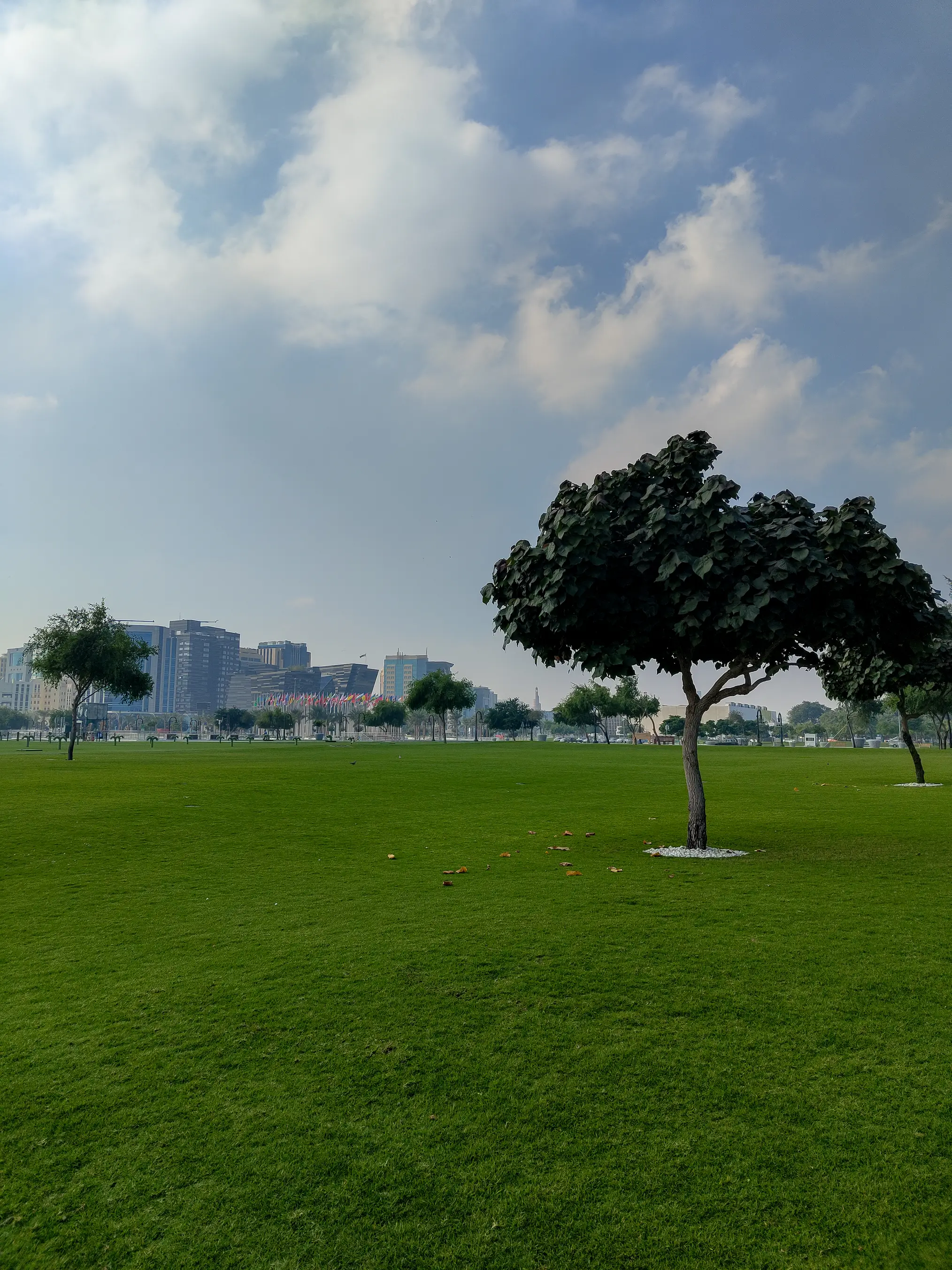 A shot of an off-centered tree with 'Flag Plaza' in the background, a collection of almost all major flags.